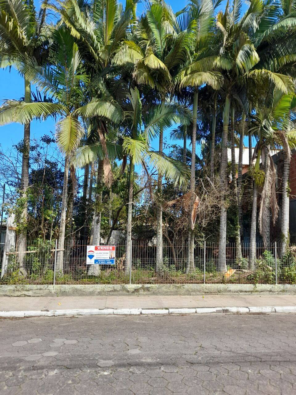 Imagem de capa do card