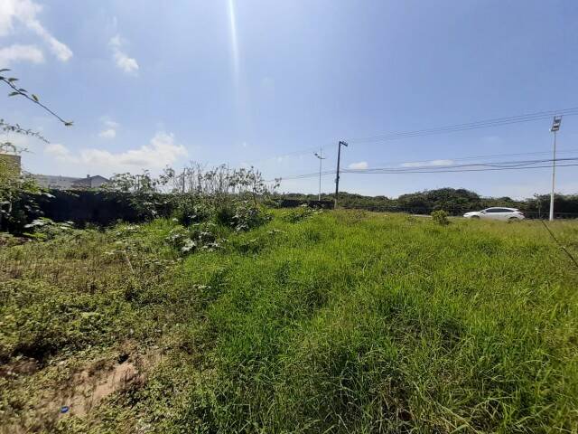 Imagem de capa do card